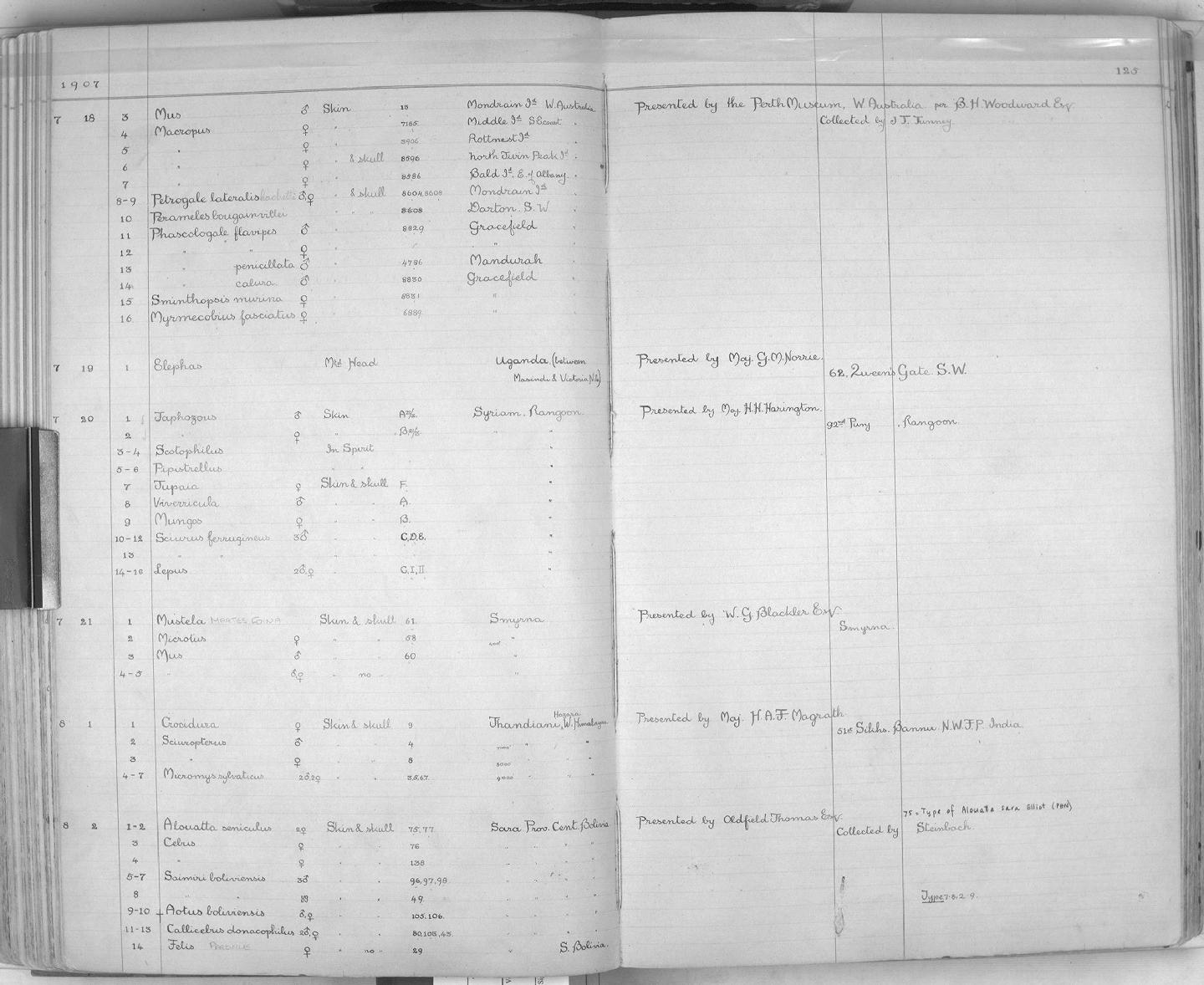 Zoology Accessions Register: Mammals: 1904 - 1910: page 125