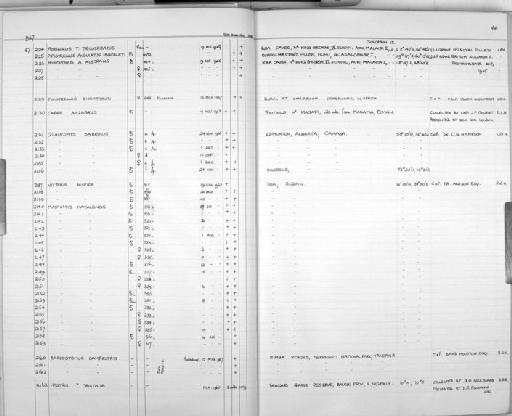 Capra aegagrus - Zoology Accessions Register: Mammals: 1967 - 1970: page 46