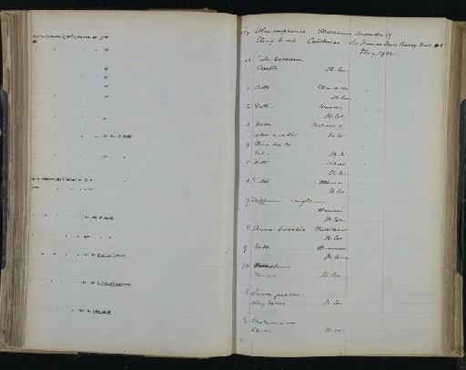 Larus fuscus Linnaeus, 1758 - NHM-UK_P_DF118_03_25_0181