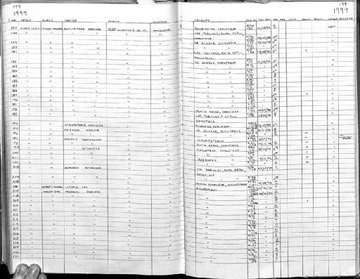 Molossus sinaloae J. A. Allen, 1906 - MA24 Mammal register scan