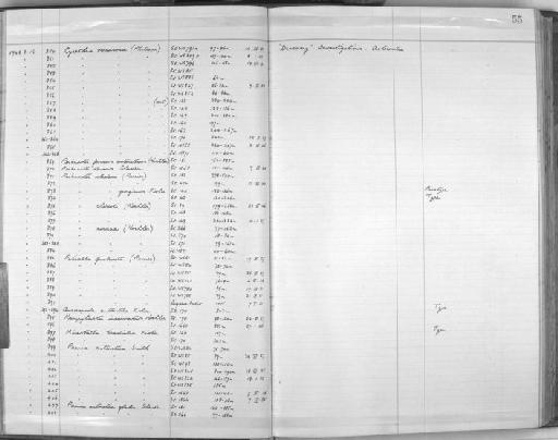 Acodontaster conspicuus (Koehler, 1920) - Zoology Accessions Register: Echinodermata: 1935 - 1984: page 54