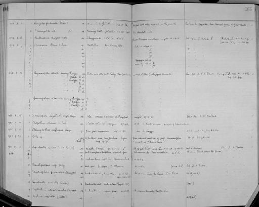 Lernaeopoda scyllicola Leigh-Sharpe, 1916 - Zoology Accessions Register: Crustacea (Entomostraca): 1938 - 1963: page 166