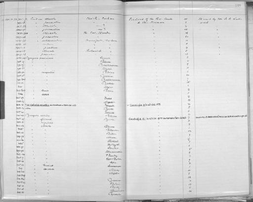 Mangelia costata (Pennant, 1777) - Zoology Accessions Register: Mollusca: 1906 - 1911: page 177