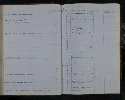 Pteraspis crouchi Lankester, 1868 - NHM-UK_P_DF118_03_13_0079