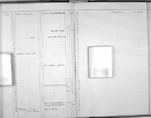 Aethopyga saturata saturata (Hodgson, 1836) - Zoology Accessions Register: Aves (Nest): 1959 - : page 82