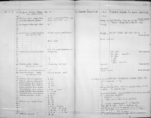Ceratoisis spicata Hickson, 1907 - Zoology Accessions Register: Coelenterata: 1958 - 1964: page 107