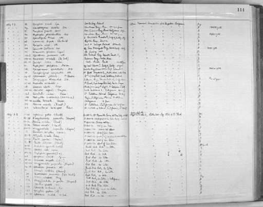 Luidia foliolata Grube, 1866 - Zoology Accessions Register: Echinodermata: 1935 - 1984: page 114