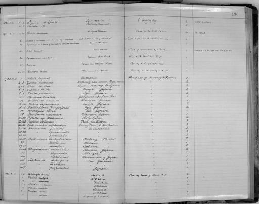 Voluta harfordi Cox, 1869 - Zoology Accessions Register: Mollusca: 1911 - 1924: page 196