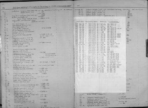 Conodon nobilis - Zoology Accessions Register: Fishes: 1971 - 1985: page 401