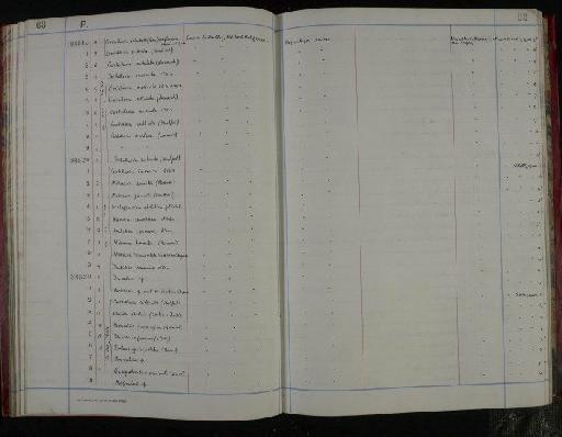 Nodosaria consorbrina d'Orbigny - NHM-UK_P_DF118_04_05_0141