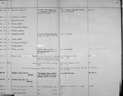 Upogebia lincolni Ngoc-Ho, 1977 - Zoology Accessions Register: Crustacea: 1976 - 1984: page 42