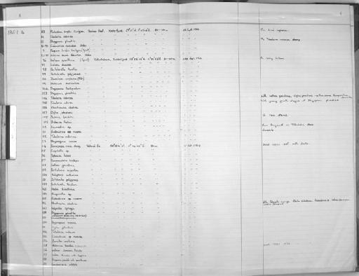 Halecium beanii (Johnston, 1838) - Zoology Accessions Register: Coelenterata: 1964 - 1977: page 4