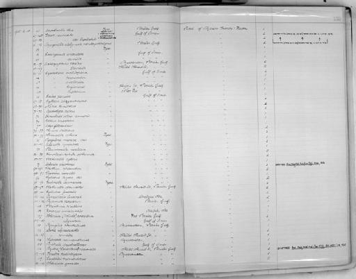 Rissoina isoceles Melvill & Standen, 1903 - Zoology Accessions Register: Mollusca: 1900 - 1905: page 152