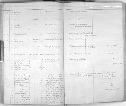 Taurotragus oryx oryx Pallas, 1766 - Zoology Accessions Register: Mammals: 1911 - 1920: page 115