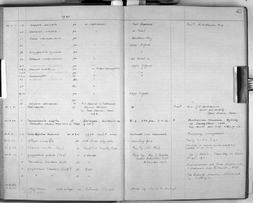 Alcyonidium sp - Zoology Accessions Register: Bryozoa: 1922 - 1949: page 45