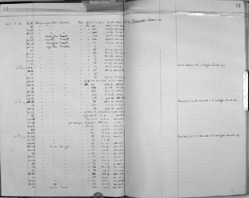 Atolla wyvillei Haeckel, 1880 - Zoology Accessions Register: Coelenterata: 1934 - 1951: page 24