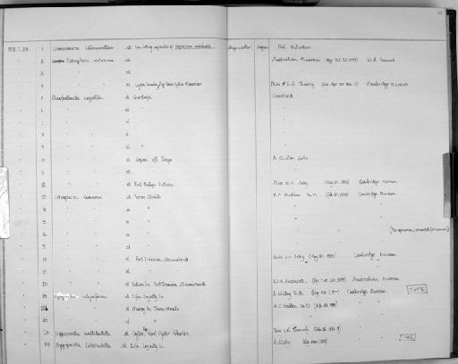 Fodinella calyciformis (Philipps, 1900) - Zoology Accessions Register: Bryozoa: 1971 - 1986: page 63