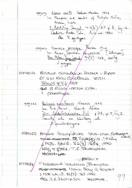 Bulimus turriformis Krauss, 1848 - Zoology Accessions Register: Mollusca: 1986 - 1993: page 99