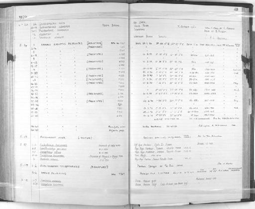 Barbus radiatus profundus Greenwood, 1970 - Zoology Accessions Register: Fishes: 1961 - 1971: page 201