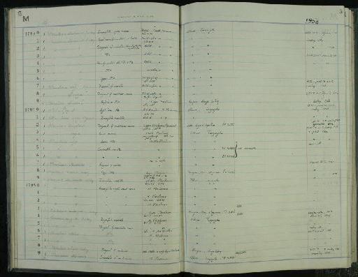 Notochoerus compactus Leakey, 1958 - NHM-UK_P_DF118_03_35_0009