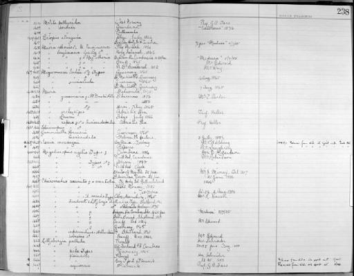 Maera othonis parvorder Hadziidira (H. Milne Edwards, 1830) - Zoology Accessions Register: Crustacea - Norman Collection: 1911: page 238