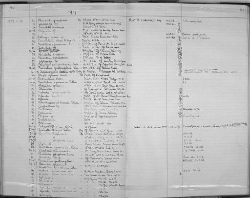 Alcyonium Linnaeus, 1758 - Zoology Accessions Register: Coelenterata: 1951 - 1958: page 98