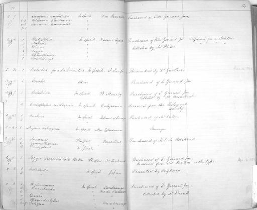 Myxus cahagnei - Zoology Accessions Register: Reptiles & Fishes: 1878 - 1892: page 14