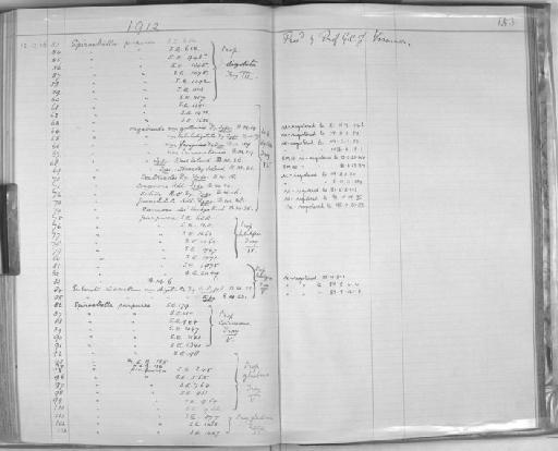 Suberites incrustans digitata Dendy - Zoology Accessions Register: Spongiida & Protozoa: 1887 - 1918: page 153