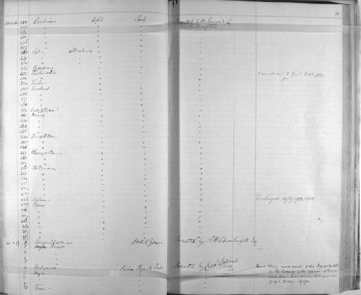 Castalia schombergiana Sowerby, 1869 - Zoology Accessions Register: Mollusca: 1841 - 1842: page 86