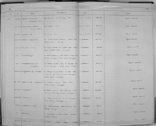 Syphacia longicauda - Zoology Accessions Register: Aschelminth N4: 1977 - 1989: page 24