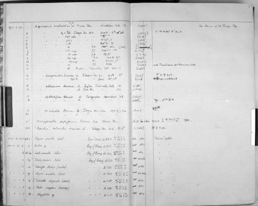 Metroperiella pyriformis Harmer, 1957 - Zoology Accessions Register: Bryozoa: 1971 - 1986: page 4