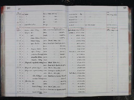 Globigerina eggeri Rhumbler, 1901 - NHM-UK_P_DF118_04_16_0185