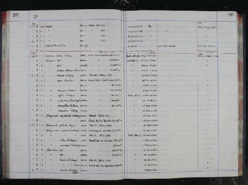 Globorotalia Cushman, 1927 - NHM-UK_P_DF118_04_16_0185