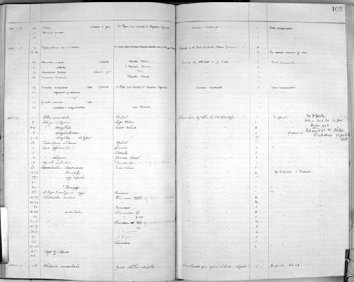 Gulella conospira polynematica - Zoology Accessions Register: Mollusca: 1925 - 1937: page 105