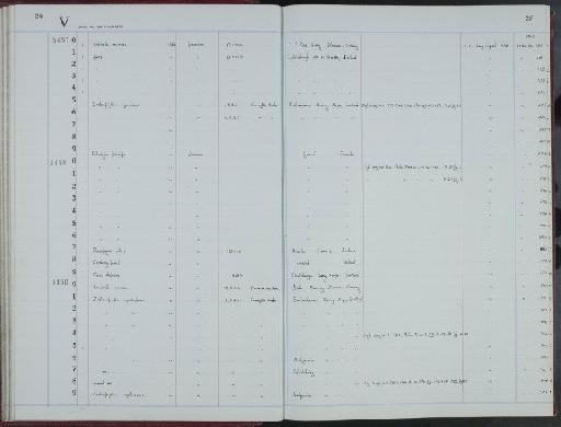 Hostimella racemosa Lang, 1925 - NHM-UK_P_DF118_02_73_0047