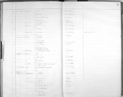 Dysithamnus mentalis semicinereus - Bird Group Collector's Register: Aves - Salvin & Godman Collection Vol 4: 1889 - 1898: page 10