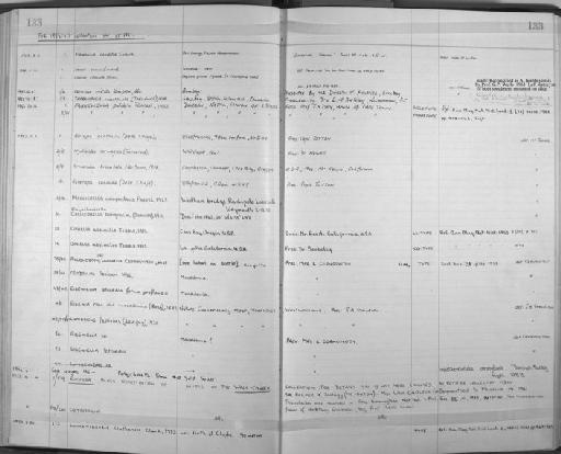 Rhynchonerella bongraini (Graviel) - Zoology Accessions Register: Annelida: 1936 - 1970: page 133