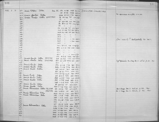 Lensia hunter Totton, 1941 - Zoology Accessions Register: Coelenterata: 1951 - 1958: page 146