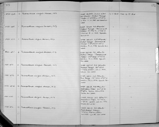 Paranarthrura insignis Hansen, 1913 - Zoology Accessions Register: Crustacea: 1984 - 1991: page 173