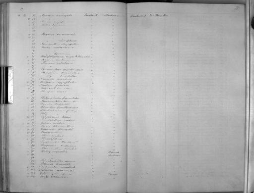 Platyglossus opercularis Günther, 1862 - Zoology Accessions Register: Mammals: 1854 - 1861: page 181