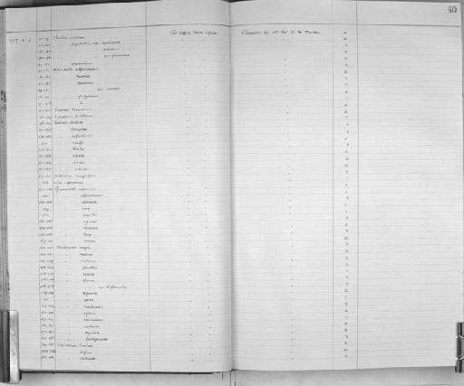 Eulima alfredensis - Zoology Accessions Register: Mollusca: 1925 - 1937: page 40