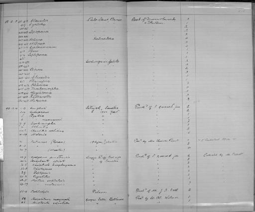 Clausilia costicina - Zoology Accessions Register: Mollusca: 1894 - 1899: page 218