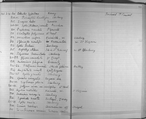 Polycirrus haematodes - Zoology Accessions Register: Annelida & Echinoderms: 1924 - 1936: page 83