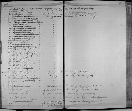 Galeoides polydactylus - Zoology Accessions Register: Fishes: 1912 - 1936: page 219