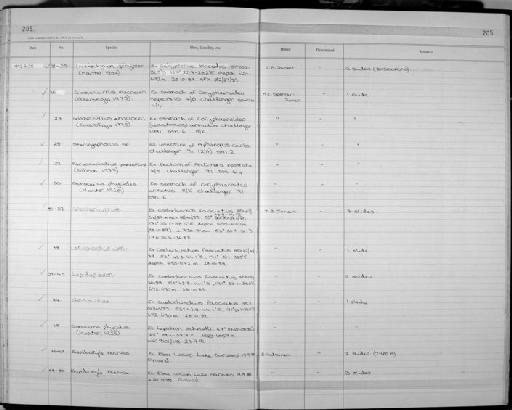 Lecithochirium Lühe, 1901 - Zoology Accessions Register: Platyhelminth: 1987 - 1993: page 205