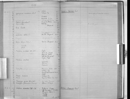 Leptastrea solida (Milne Edwards & Haime, 1849) - Zoology Accessions Register: Coelenterata & Anthozoa: 1884 - 1934: page 179