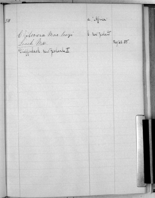 Cilonera macleayi - Zoology Accessions Register: White's Catalogue of Crustacea I: page 211