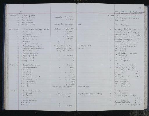 Spiropthalmidium acutimargo emaciatum - NHM-UK_P_DF118_04_14_0251