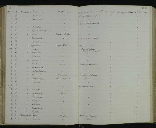 Promicroceras marstonensis Spath, 1925 - NHM-UK_P_DF118_06_29_0161