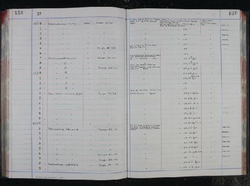 Portatrochammina murrayi Bronnimann & Zaninetti, 1984 - NHM-UK_P_DF118_04_16_0307